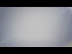 La compañía introduce