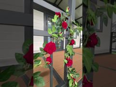 Casa plegable con dos metros de techo